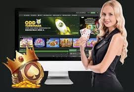 Live dealer studio with professional camera setup and multilingual dealer